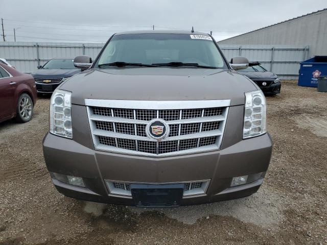 2013 CADILLAC ESCALADE P - 1GYS3FEJ4DR109707