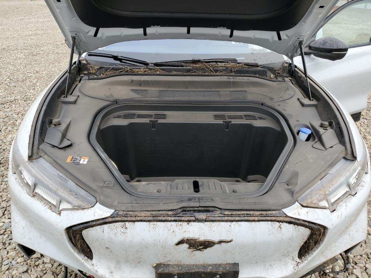 FORD MUSTANG PREMIUM