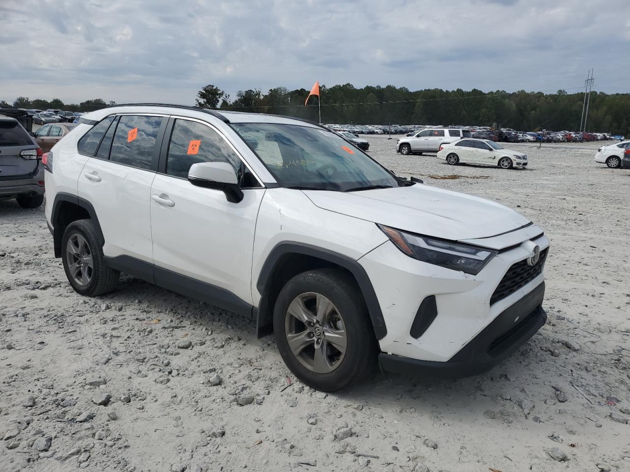 TOYOTA RAV4 XLE