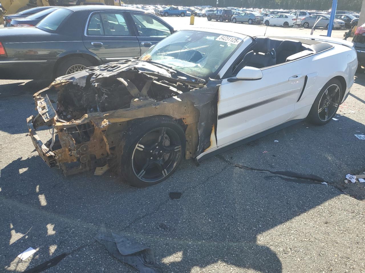 Lot #3256751394 2021 FORD MUSTANG GT