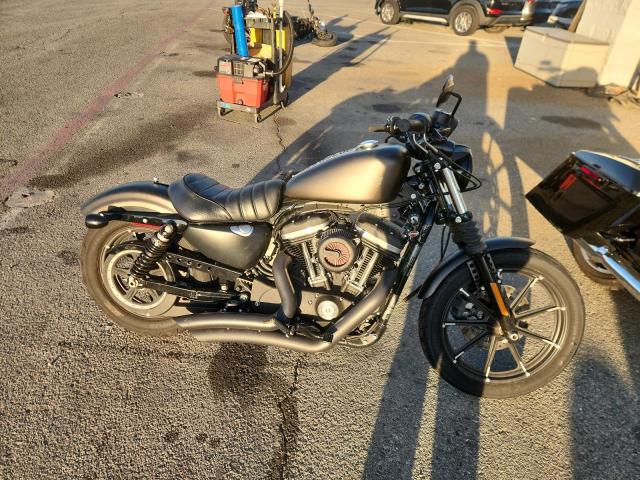 2021 HARLEY-DAVIDSON XL883 N #3304099493