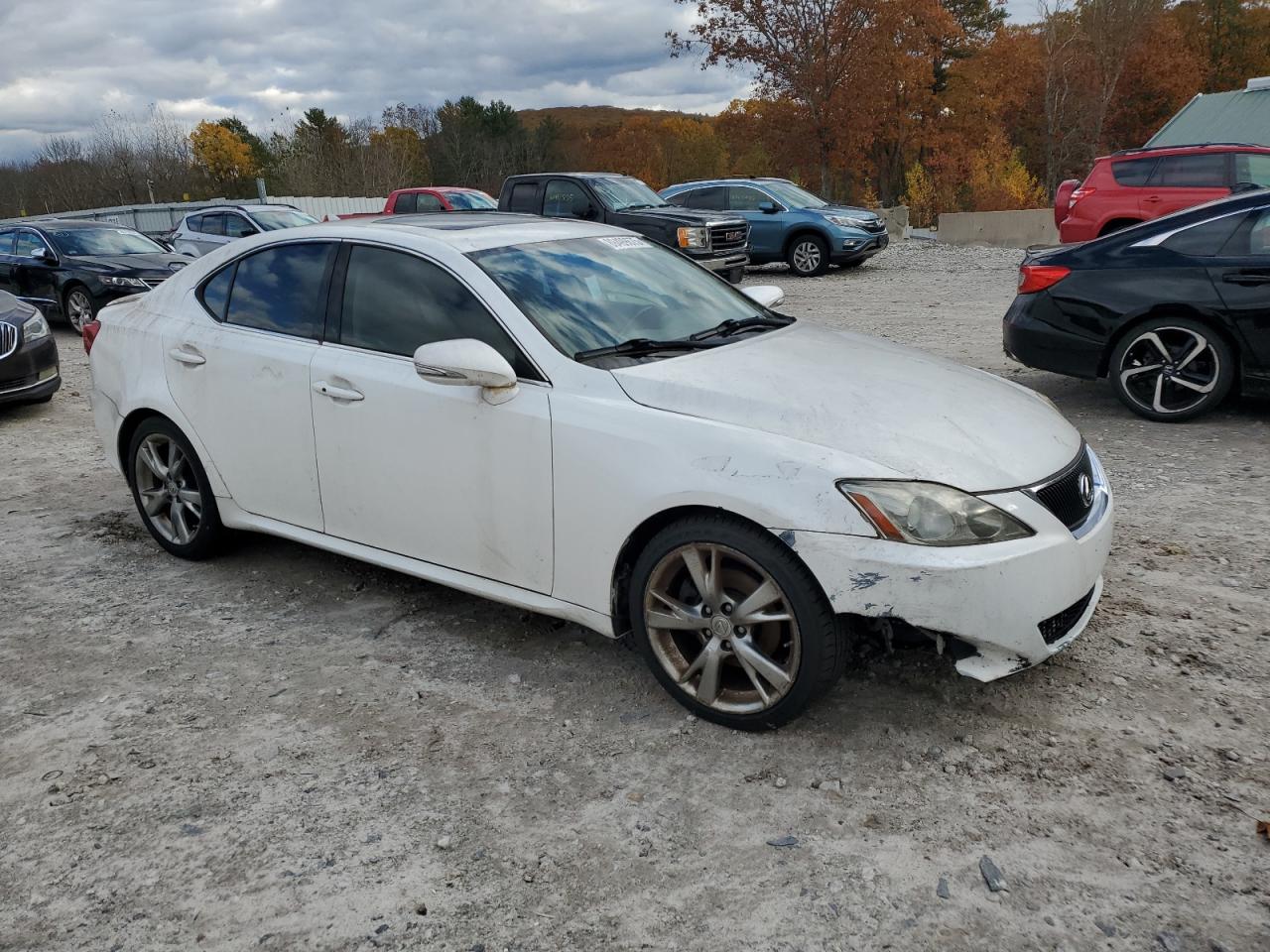 Lot #3280369972 2009 LEXUS IS 250