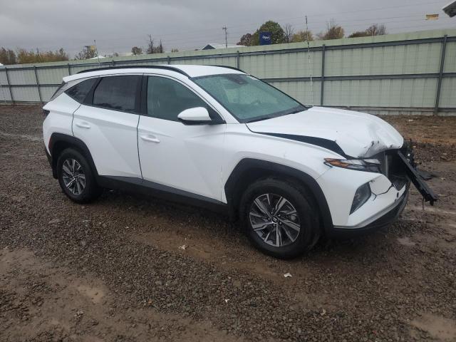 2024 HYUNDAI TUCSON BLU KM8JBCD13RU195077