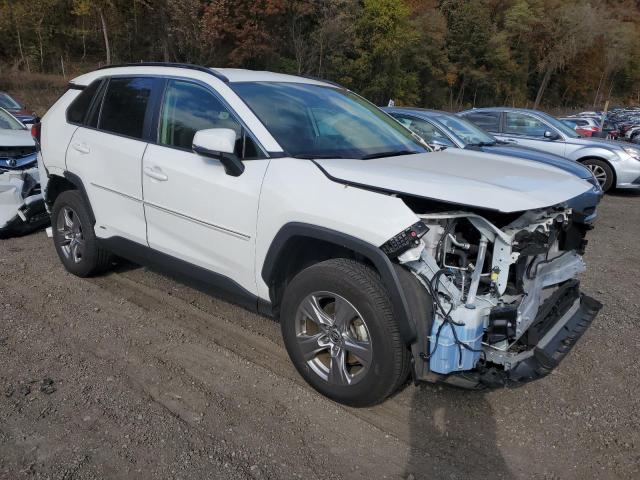 2023 TOYOTA RAV4 LE #3318870990
