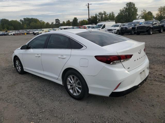 2019 HYUNDAI SONATA SE - 5NPE24AF4KH786479