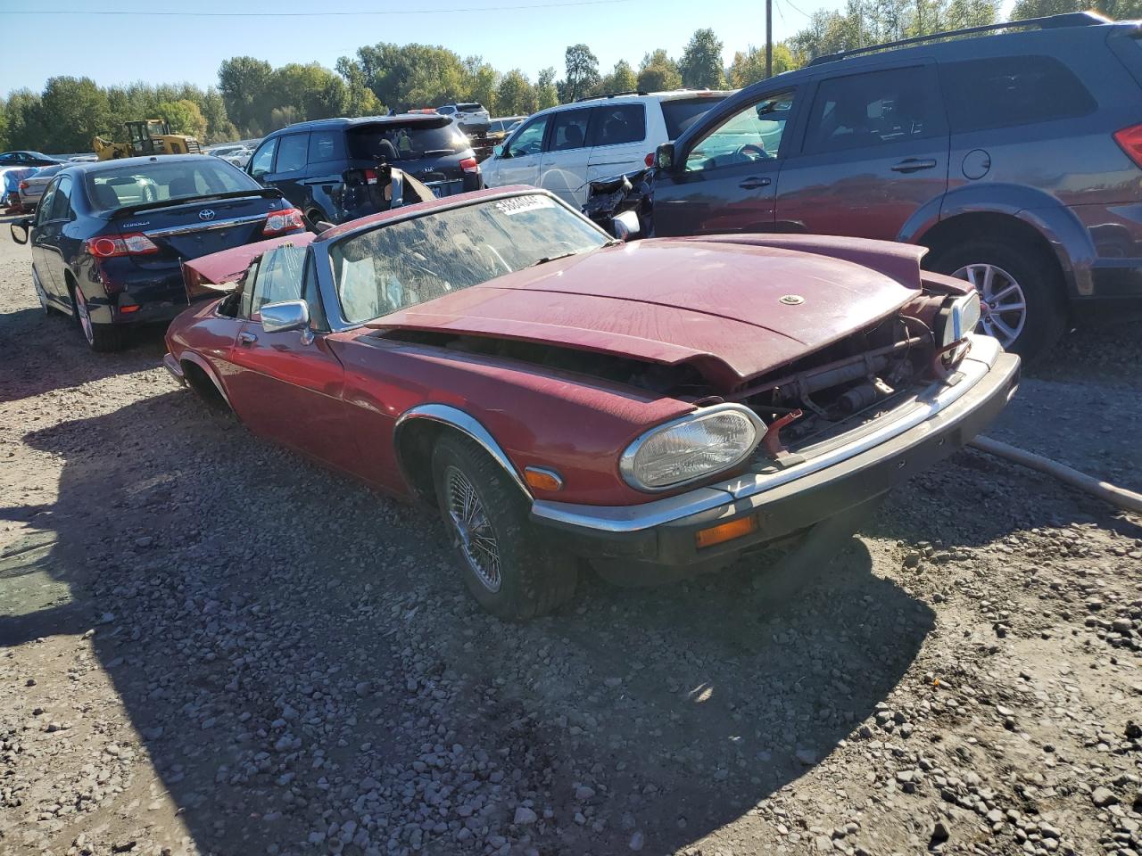 Global Auto Auctions