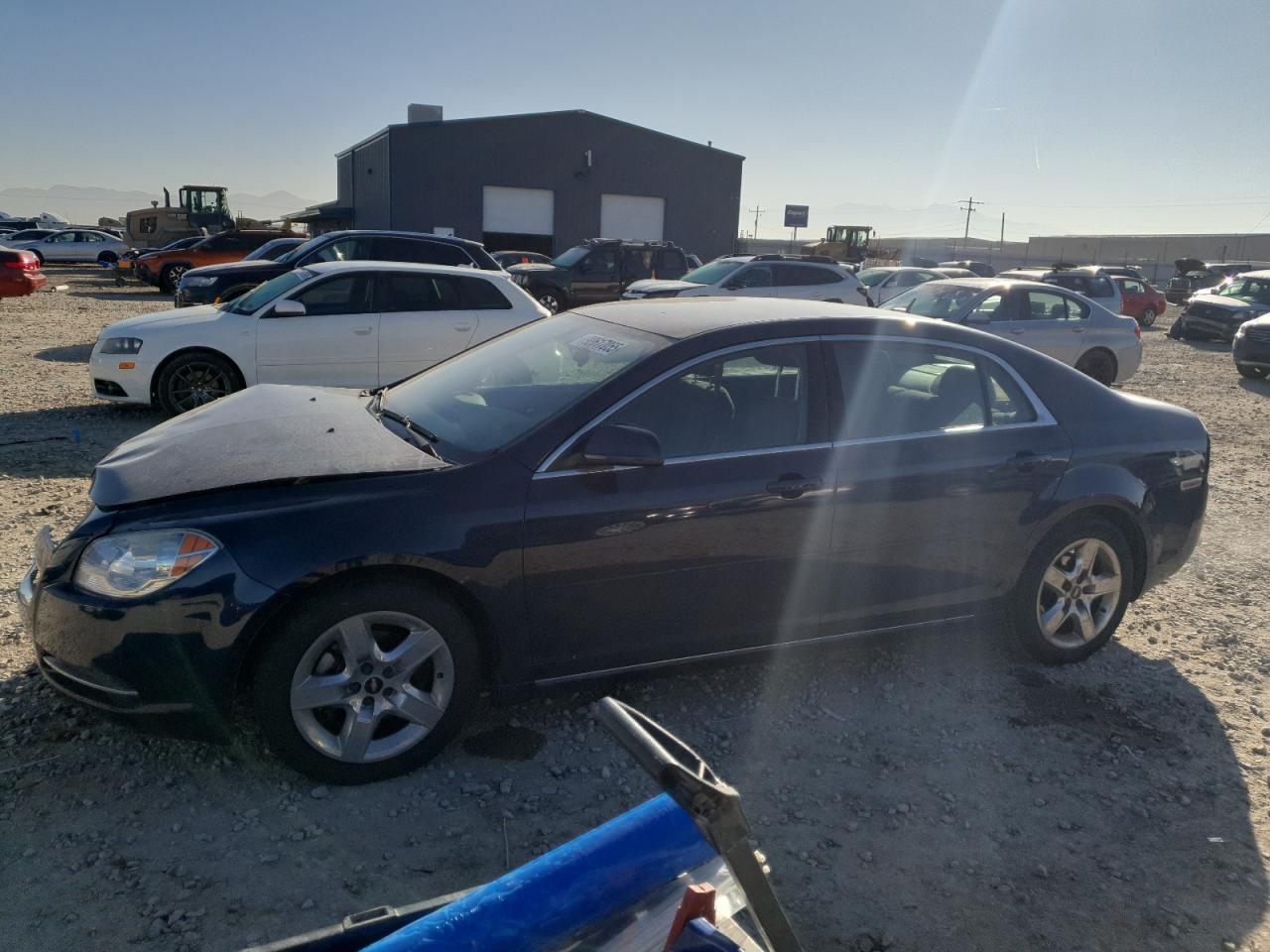 CHEVROLET MALIBU 1LT