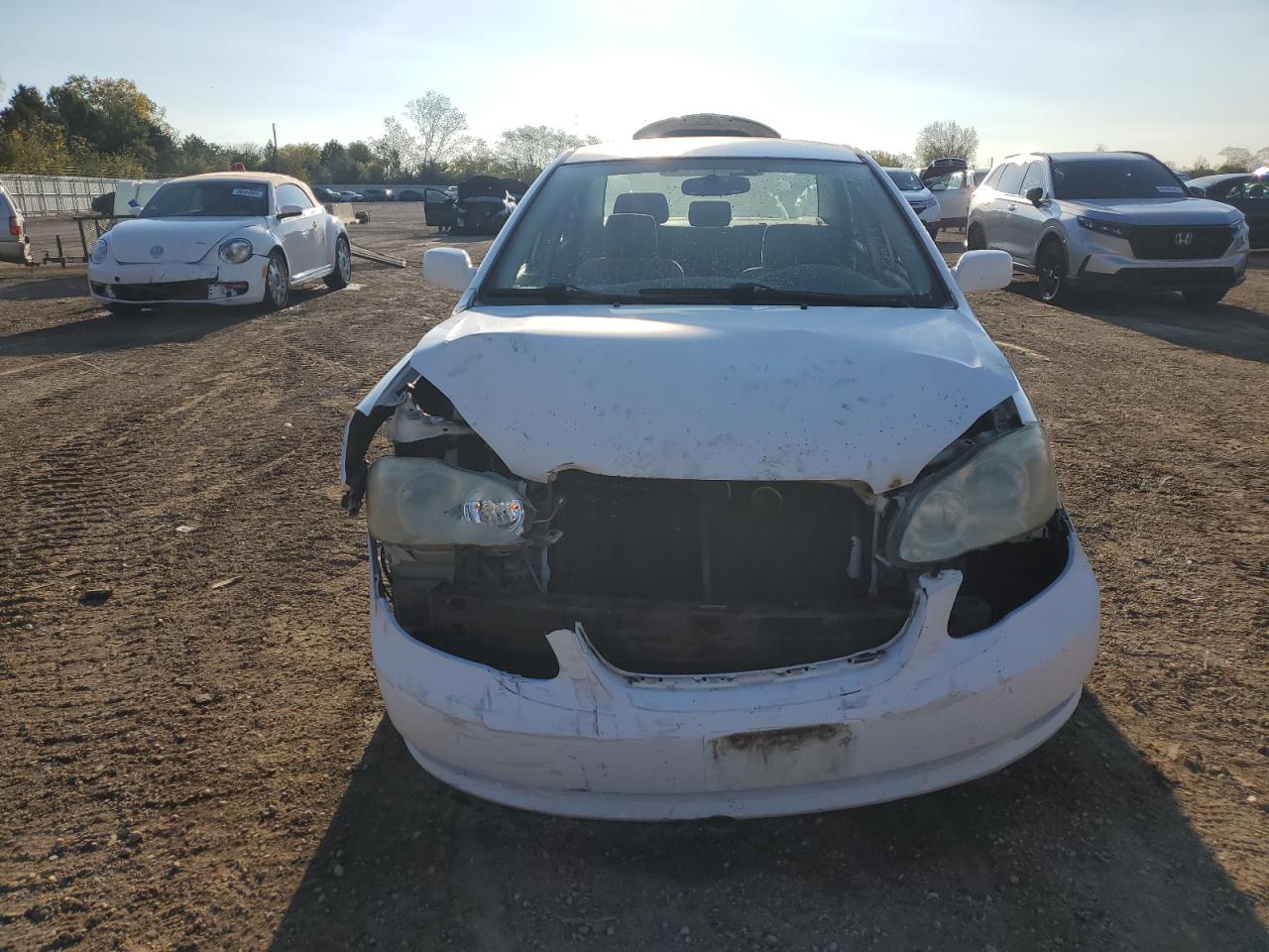 Lot #3297219376 2005 TOYOTA COROLLA CE