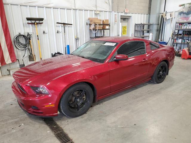 2014 FORD MUSTANG - 1ZVBP8AM9E5315567