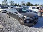Lot #3308380313 2015 HYUNDAI SONATA SPO