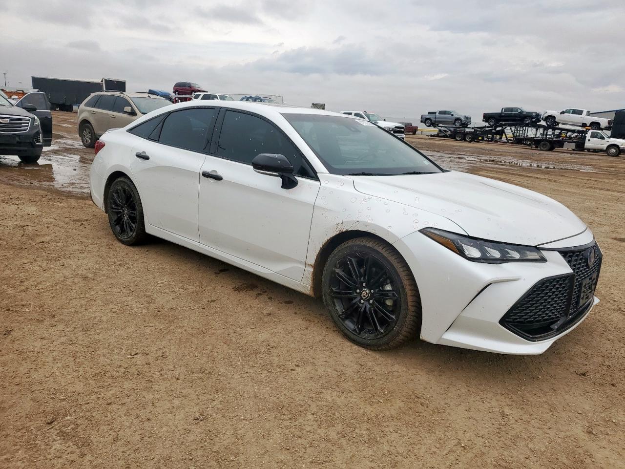 TOYOTA AVALON NIGHT SHADE