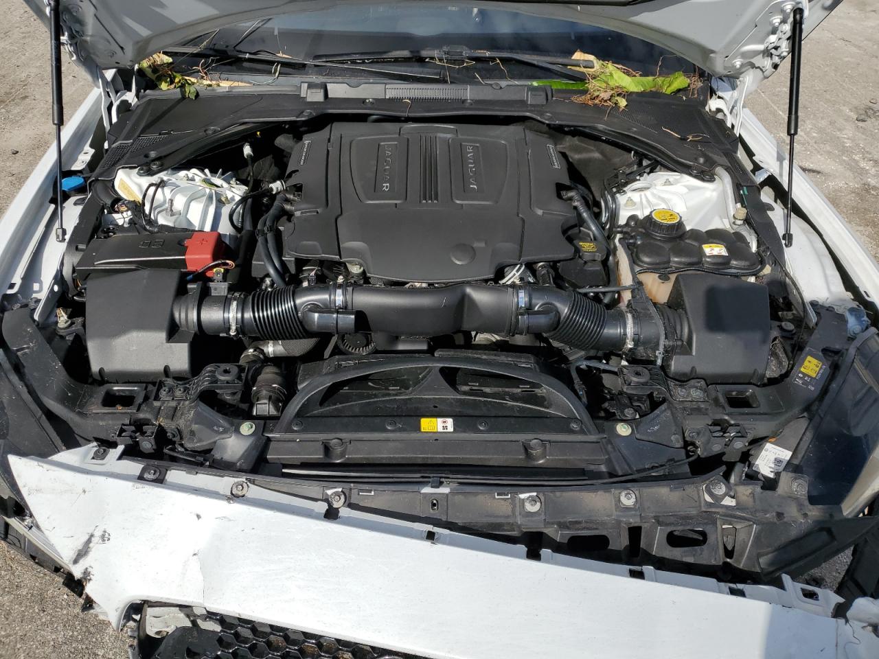 Lot #3309594553 2017 JAGUAR XE R - SPO