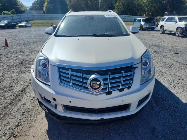 2013 CADILLAC SRX LUXURY - 3GYFNCE37DS534198