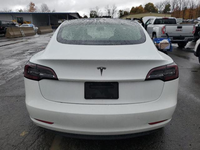 2023 TESLA MODEL 3 #3315884085