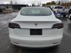 Lot #3315884085 2023 TESLA MODEL 3