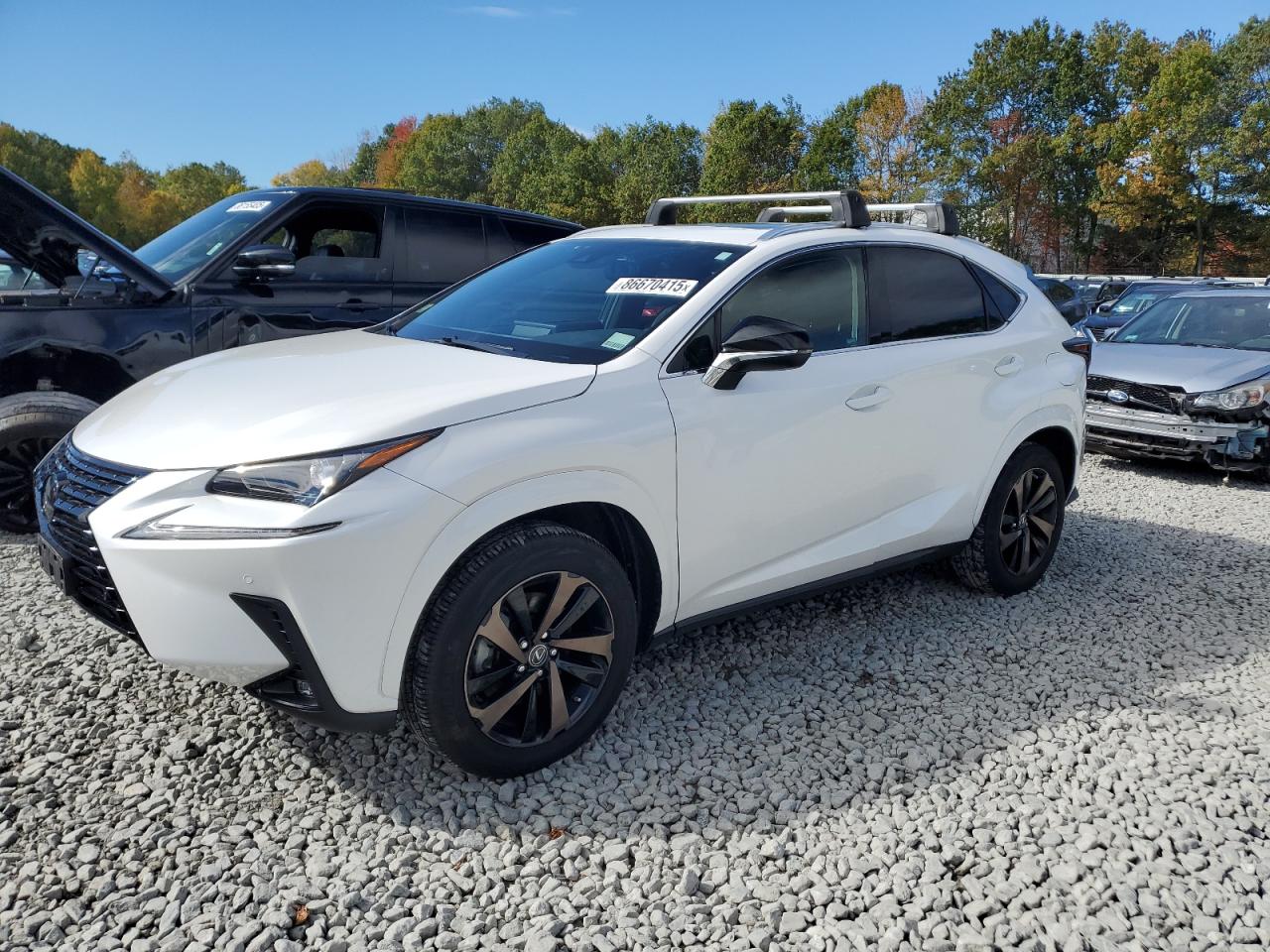 LEXUS NX 300