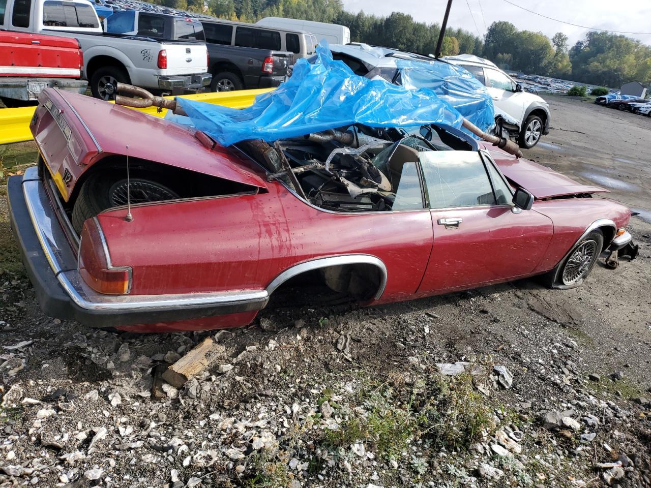 Global Auto Auctions