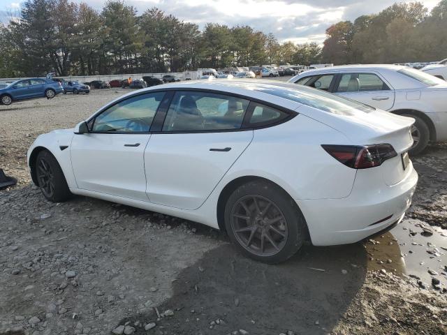 2023 TESLA MODEL 3 #3298105147