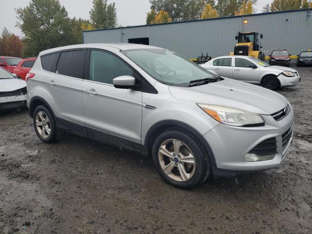 2014 FORD ESCAPE SE - 1FMCU0GX6EUA91338