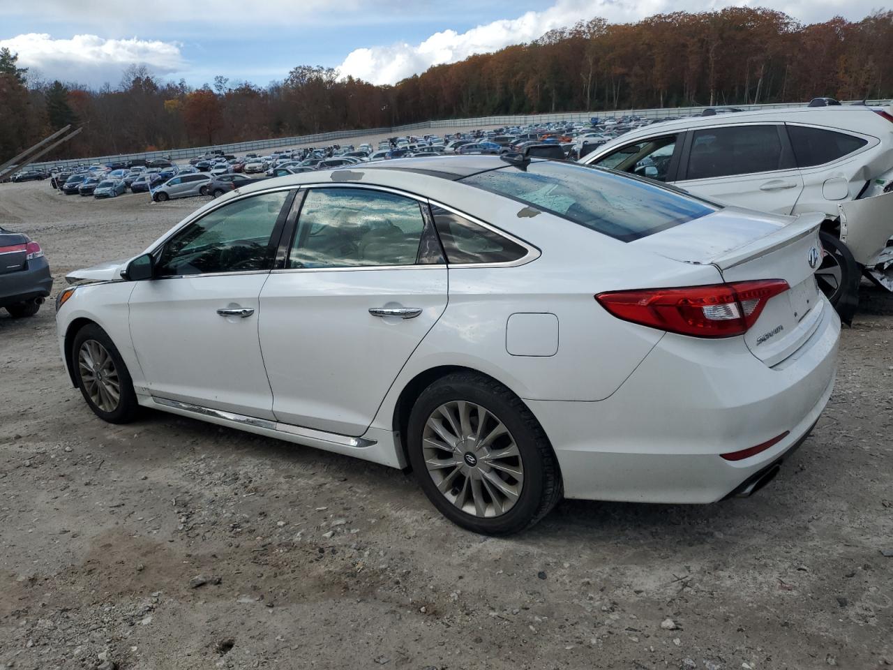 Lot #3315814346 2015 HYUNDAI SONATA SPO
