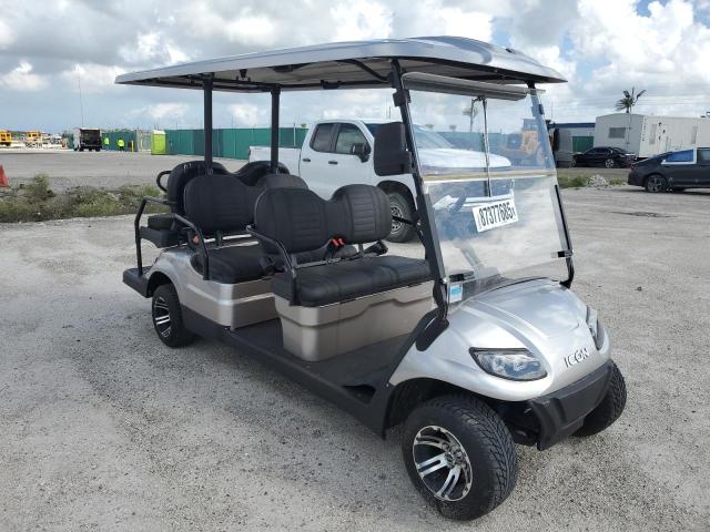 Global Auto Auctions: 2023 ICON 6P