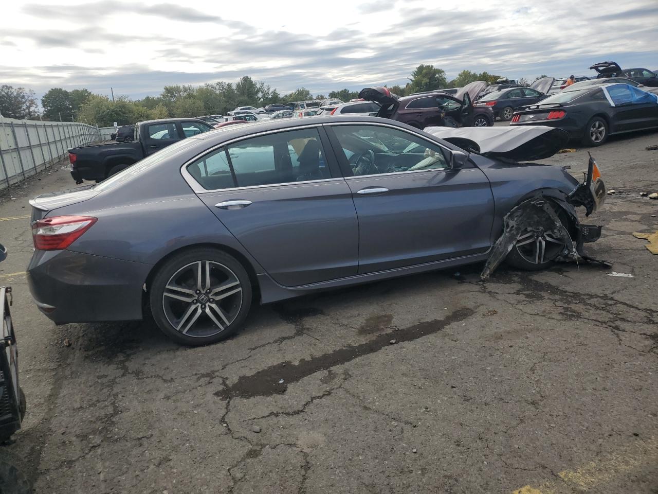 HONDA ACCORD SPORT SPECIAL EDITION