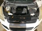 Lot #3301700640 2014 FORD ESCAPE TIT