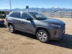 Lot #3293842601 2023 TOYOTA RAV4 LE