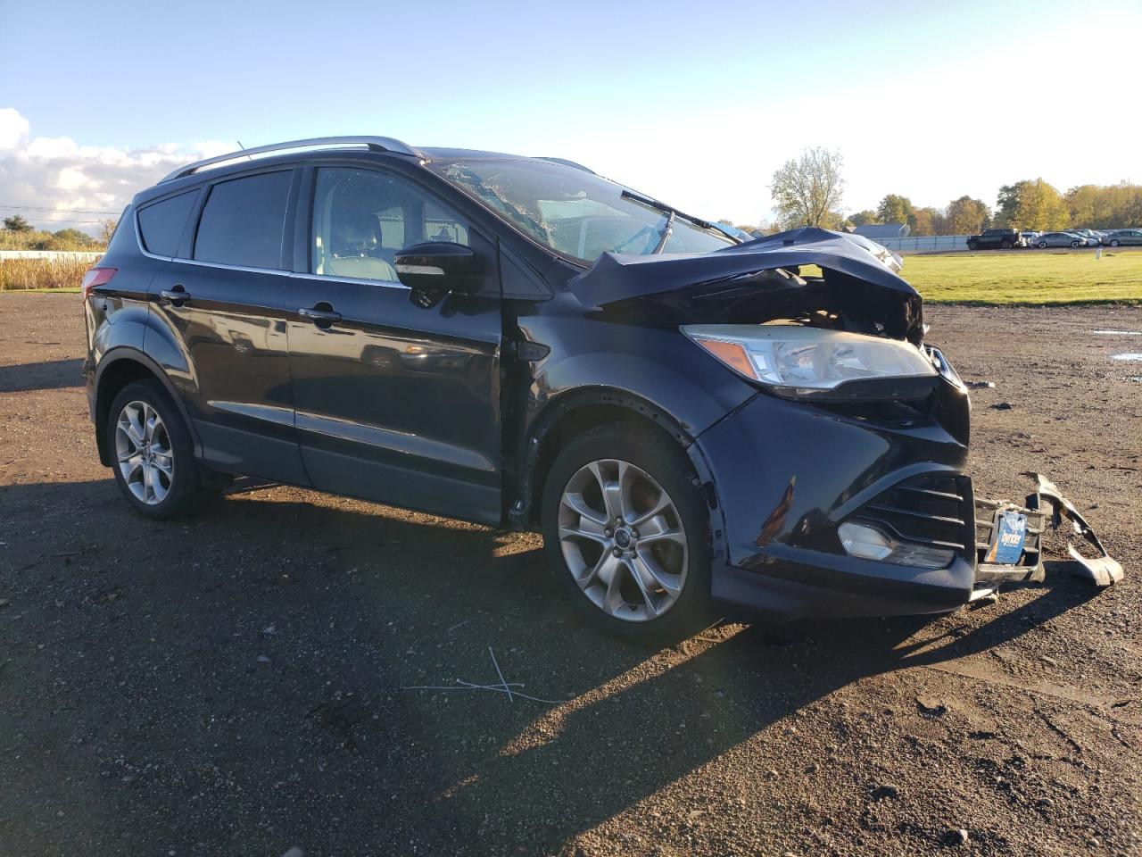 Lot #3316780421 2014 FORD ESCAPE TIT