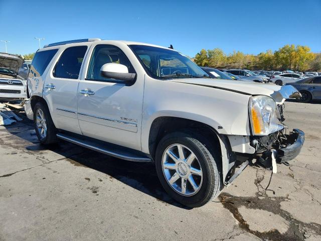 2010 GMC YUKON DENA - 1GKUKEEF3AR201060