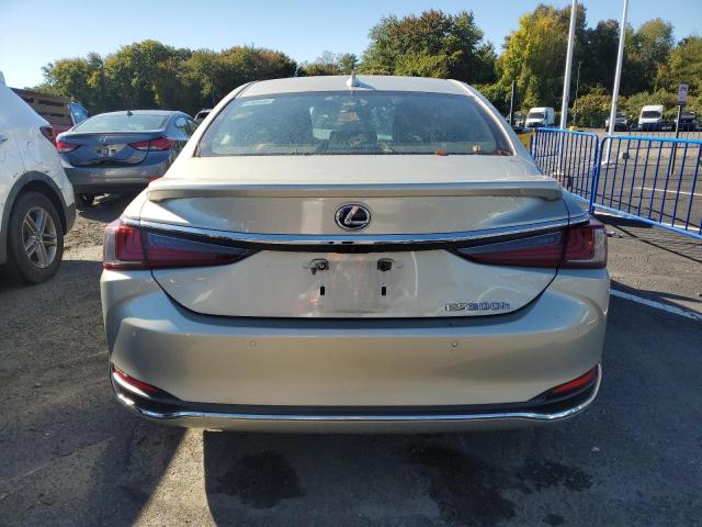 2019 LEXUS ES 300H 58AB21B18KU002741