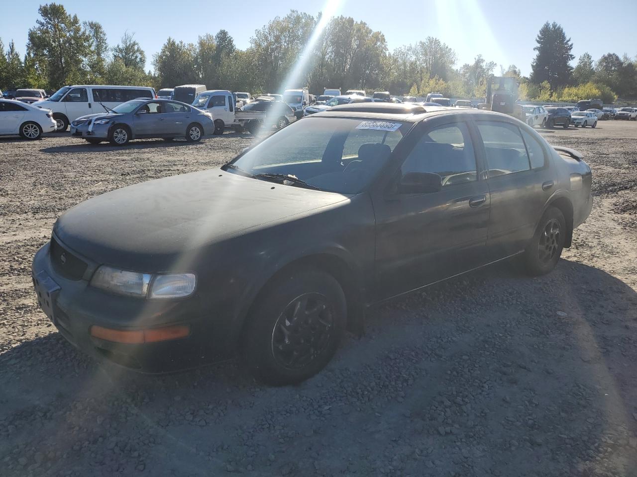 Lot #3274024484 1996 NISSAN MAXIMA