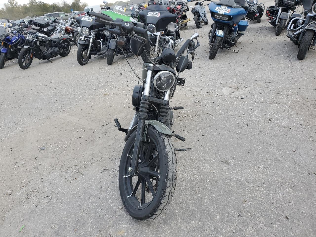 Lot #3291197978 2021 HARLEY-DAVIDSON XL883 N