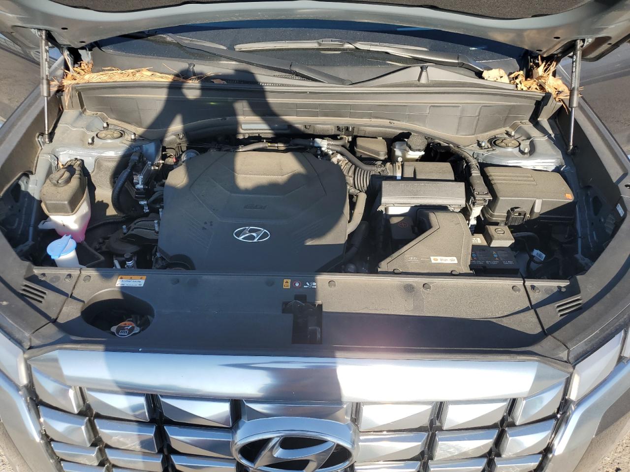 HYUNDAI PALISADE CALLIGRAPHY