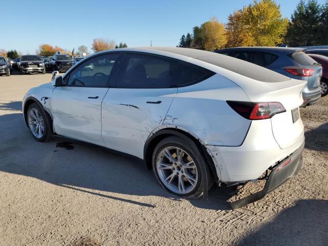 2024 TESLA MODEL Y 7SAYGDED4RF076727