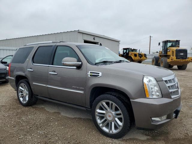 2013 CADILLAC ESCALADE P - 1GYS3FEJ4DR109707