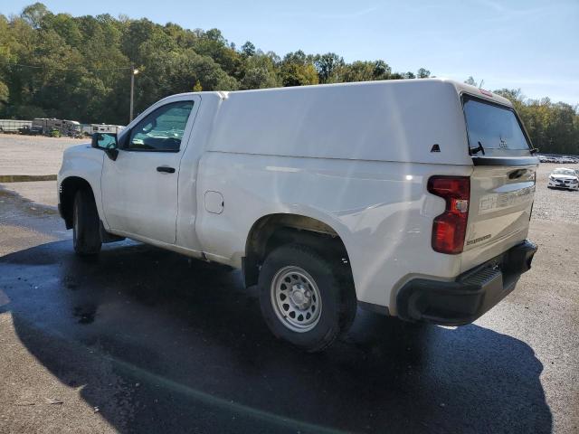 2023 CHEVROLET SILVERADO C1500 - 3GCNAAEK7PG345485