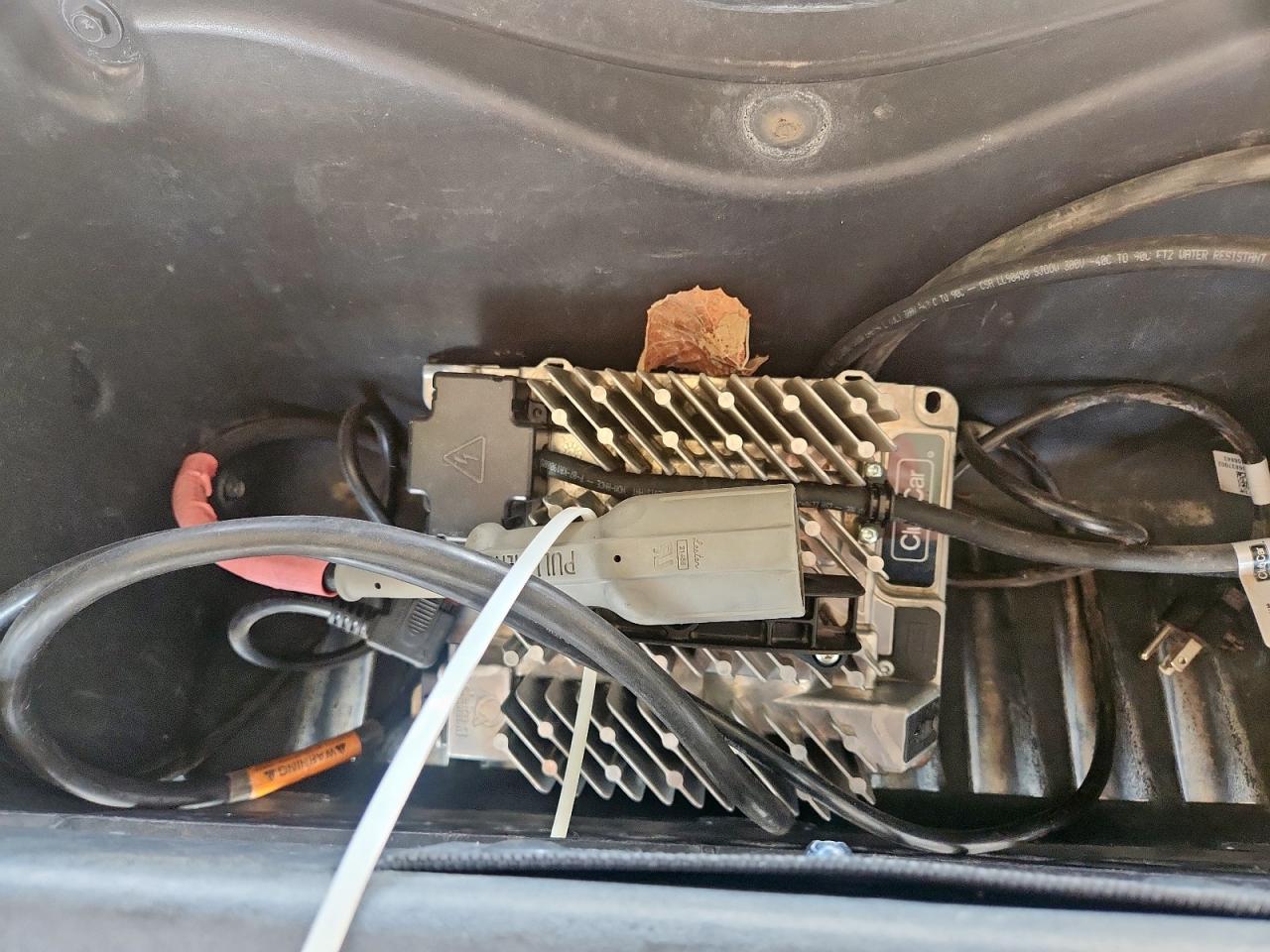 Lot #3257246791 2023 CLUB CAR TEMPO FLA