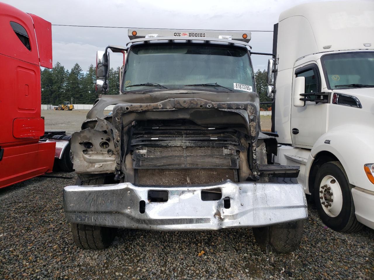 Lot #3261969518 2023 FREIGHTLINER 114SD