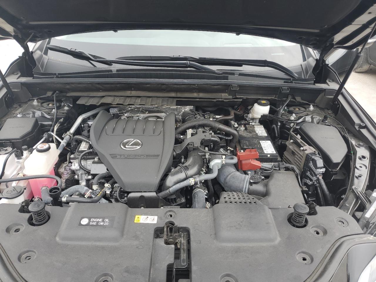 LEXUS NX 350 PREMIUM