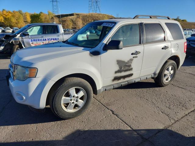 2010 FORD ESCAPE XLT - 1FMCU9DG4AKC43020