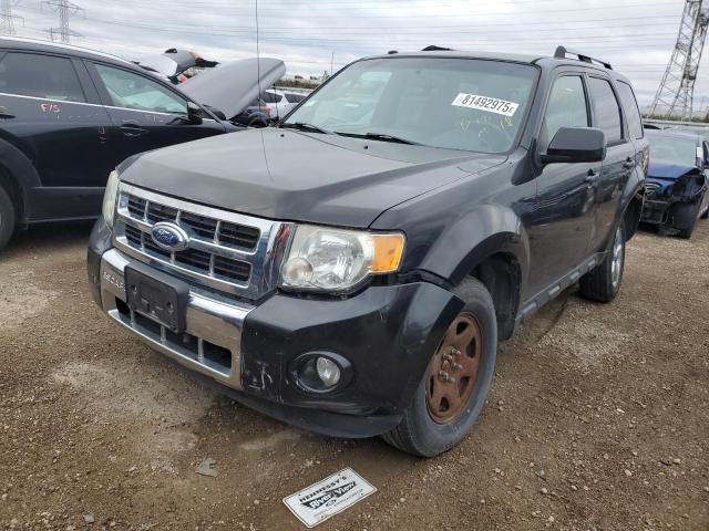 Global Auto Auctions: 2011 FORD ESCAPE LIM