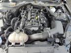 Lot #3308438278 2023 FORD MUSTANG