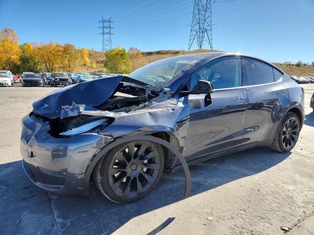 Global Auto Auctions: 2022 TESLA MODEL Y