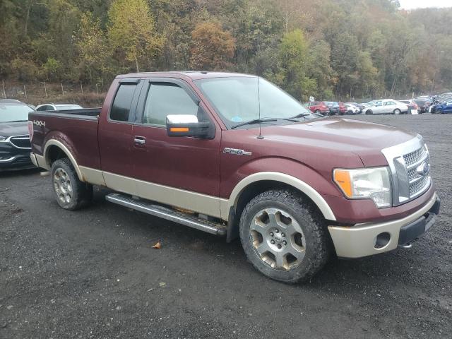 2010 FORD F-150 - 1FTFX1EV5AFA31551