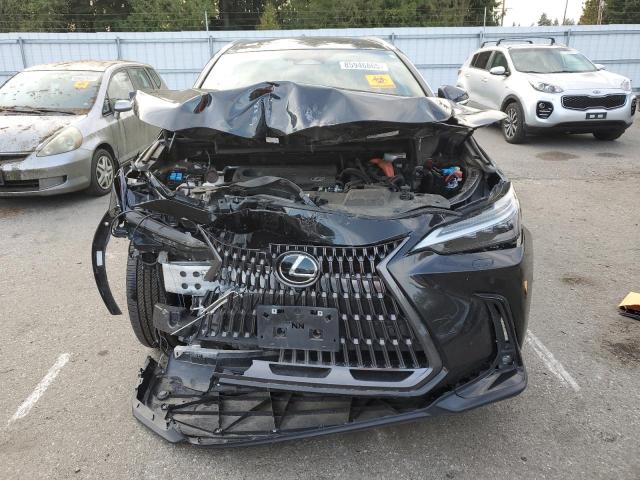 2024 LEXUS NX 350H BA 2T2HKCEZ1RC016874