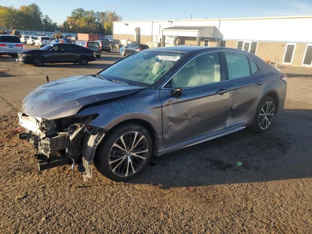 Global Auto Auctions: 2019 TOYOTA CAMRY L