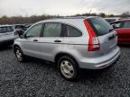 Lot #3303804422 2011 HONDA CR-V LX