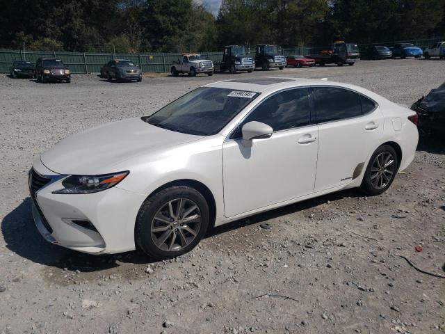 LEXUS ES 300H
