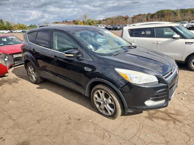 2013 FORD ESCAPE SEL - 1FMCU9H97DUA25223